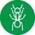 Ant Icon-Green-75 wst western ant pest