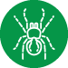 Pest spider Icon-Green-75 wst western
